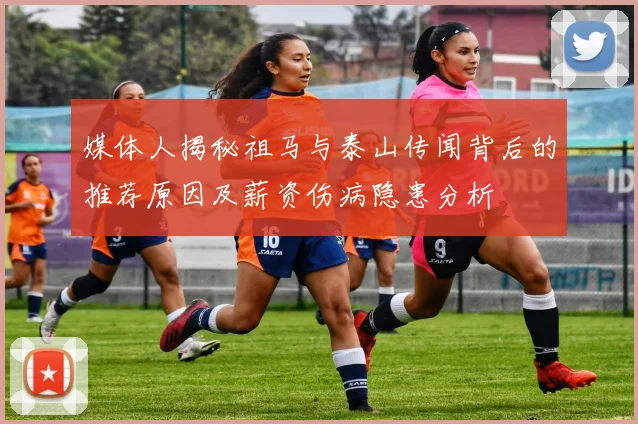 媒体人揭秘祖马与泰山传闻背后的推荐原因及薪资伤病隐患分析