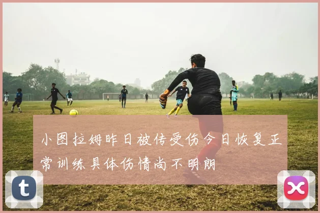 小图拉姆昨日被传受伤今日恢复正常训练具体伤情尚不明朗