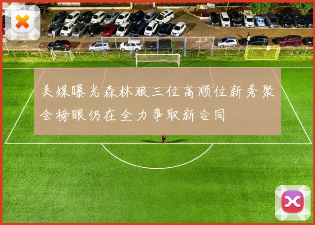 美媒曝光森林狼三位高顺位新秀聚会榜眼仍在全力争取新合同